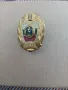 Нагръден знак НШЗО Христо Ботев, снимка 3