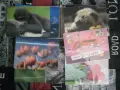 Продавам 60 бр. 3D картички чисто нови, снимка 5