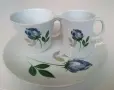 Сет за кафе  - чаша, каничка и десертна чиниа, снимка 1
