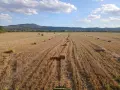 бали сено и слама, снимка 6