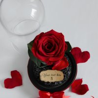 Оригинален Подарък за Жена / Вечна Роза от "Красавицата и звяра" / Жива Вечна Роза, снимка 6 - Подаръци за жени - 34470689