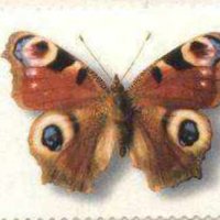 Чиста марка Пеперуда 2005 от Германия, снимка 1 - Филателия - 40195540