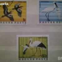 Красива колекция Унгарски пощенски марки с птици 1976 г., снимка 1 - Филателия - 44673128
