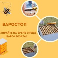 ВАРОСТОП Български Ленти срещу вароатоза, снимка 1 - За селскостопански - 24930915