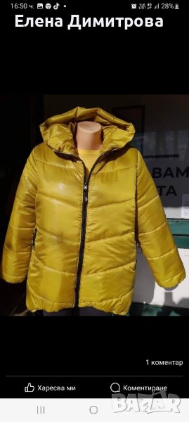 яке, снимка 1