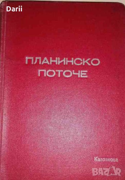 Планинско поточе, снимка 1