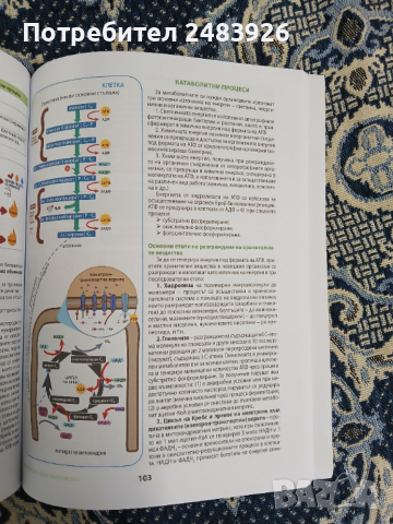 Всичко за кандидат-студентите по биология и здравно образование - 2. част - Клетъчна и молекулярна б, снимка 8 - Ученически пособия, канцеларски материали - 53967788