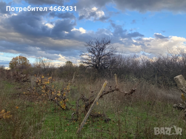  Парцел 2320 м2 - отличен за лозе/градина/пчелин, до път Дебър–Брягово, снимка 6 - Парцели - 52562178
