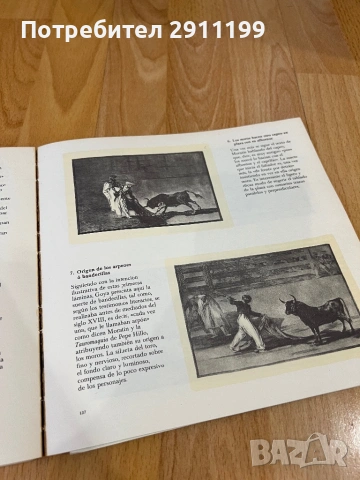 Книга за Гоя (Испански език), снимка 5 - Енциклопедии, справочници - 54242896