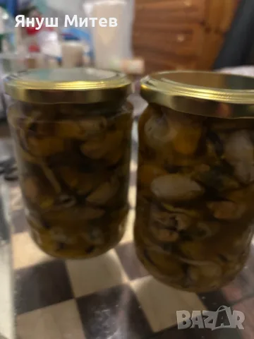 Мариновани риби
