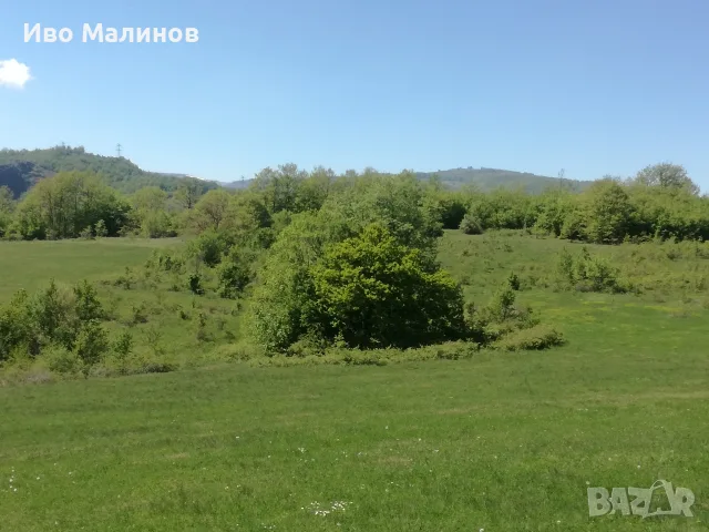 продавам два имота в село Лакатник , снимка 8 - Земеделска земя - 55769447