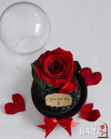 Романтичен Подарък за Жена / ЕСТЕСТВЕНА Вечна Роза в Стъкленица / Подарък за Годишнина от Сватбата, снимка 5 - Романтични подаръци - 34470495