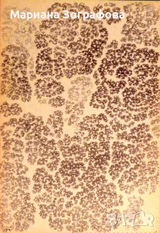 Картина-офорт, худ. Т. Манолов 1988 г., - Графики - худ. М. Зографова, - и Голяма дървена рамка, снимка 10 - Антикварни и старинни предмети - 49137840