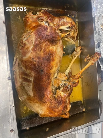 Печени агнета и прасета, снимка 2 - Други услуги - 51031087