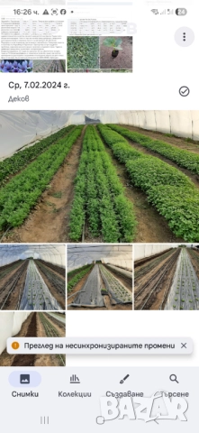 Зеленчукова ферма и база в регулация, снимка 6 - Парцели - 52958114