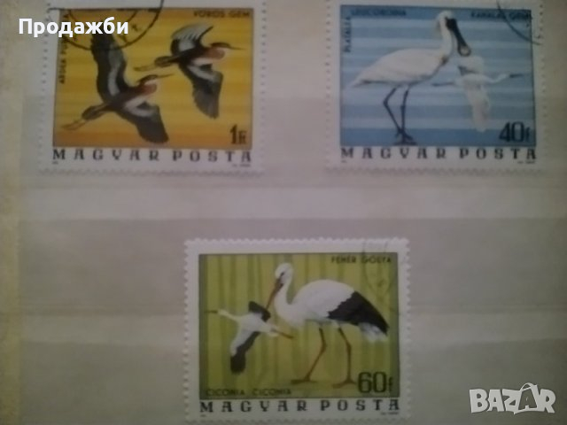 Красива колекция Унгарски пощенски марки с птици 1976 г.
