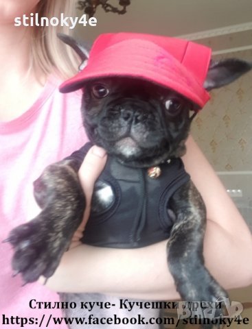 Кучешка шапка с козирка Шапки за кучета Аксесоари аксесоар за кучета Шапка за куче, снимка 12 - За кучета - 29406651