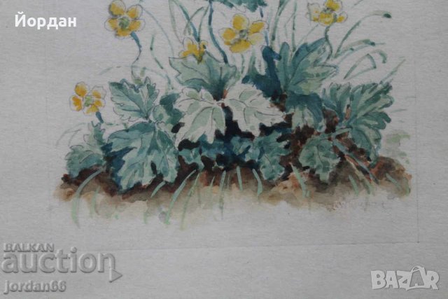 Рисунка с рамка с анти рефлексно стъкло, снимка 3 - Колекции - 39687140