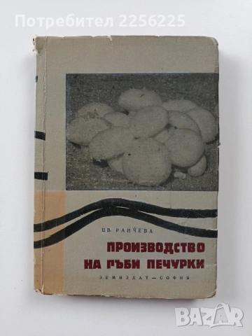 Производство на гъби печурки