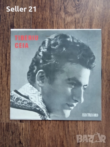 Грамофонни плочи от 60-70-80 години - 5, снимка 17 - Грамофонни плочи - 52061914