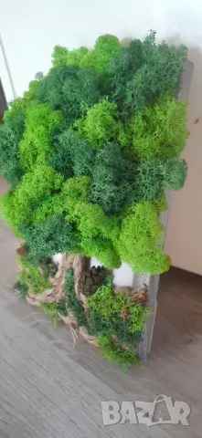 Дърво от скандинавски мъх в рамка, снимка 8 - Декорация за дома - 47986453