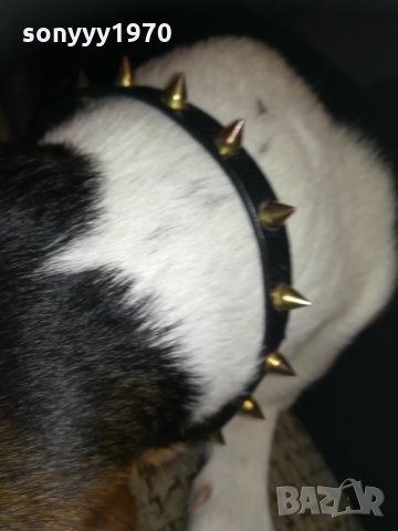 кожен нашииник с златни шипове-внос франция, снимка 4 - Колекции - 30328049