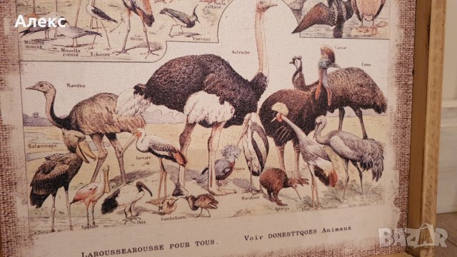 Фауна– Голяма картина, дървена рамка, 60см/ 40см, снимка 6 - Картини - 38739317