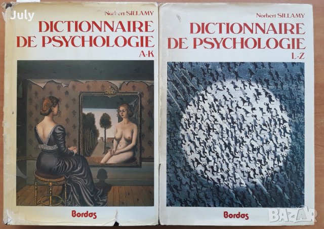 Dictionaire de psychologie, Norbert Sillamy, A-K, L-Z, снимка 1 - Специализирана литература - 30629765