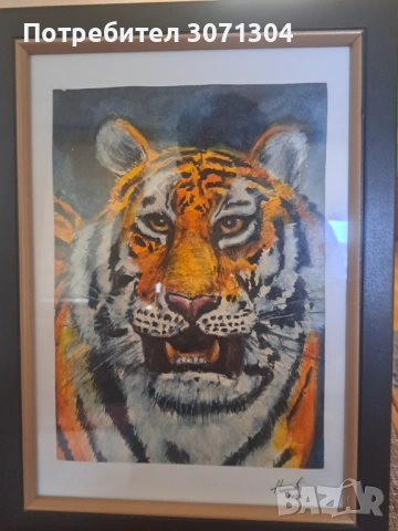 ТИГЪР 1, снимка 3 - Картини - 53945362