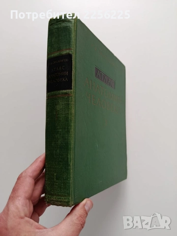 Атлас - Анатомии человека ( том 1), снимка 13 - Специализирана литература - 54031411
