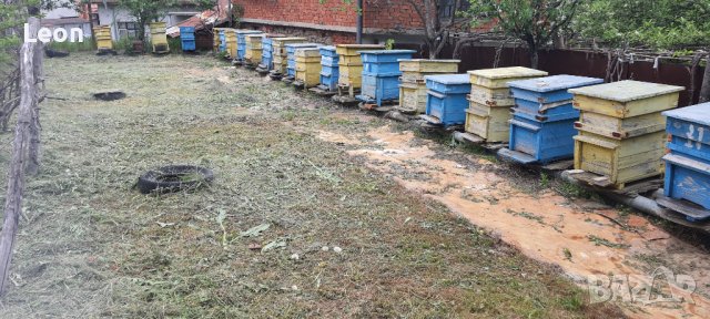 Пчелни кошери, снимка 1 - За пчели - 36628613