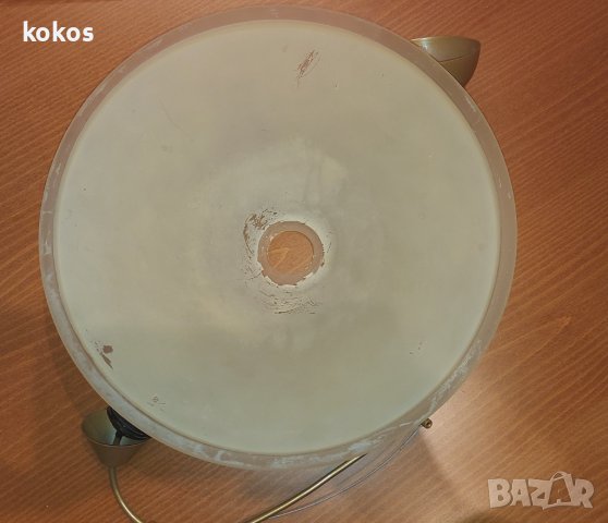 Полилей пендел, снимка 3 - Полилеи - 42206509