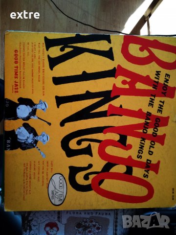 The Banjo Kings – Enjoy The Good Old Days With SR(M)3136 1972, снимка 1 - Грамофонни плочи - 38344114