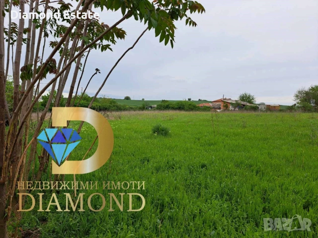 Двуетажна къща в село Голямо Асеново, общ. Димитровград, снимка 15 - Къщи - 48046955