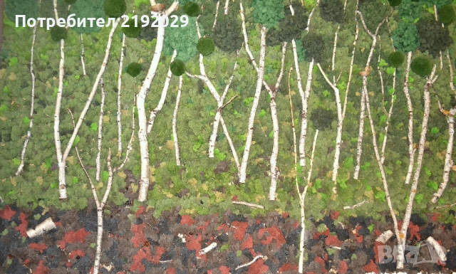 Зелена ДЕКОРАТИВНА СТЕНА от Скандинавски мъх „Гора“, снимка 4 - Други - 51513911