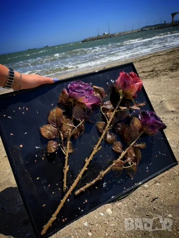 Картини от бутилки заляти с епоксидна смола. , снимка 17 - Картини - 44097007