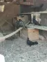 Гълъби за продан, снимка 1