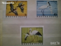 Красива колекция Унгарски пощенски марки с птици 1976 г.