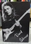 David Gilmour-метална табела (плакет), снимка 1