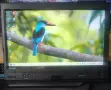Lenovo ThinkPad X220 Tablet, снимка 2