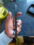 Xiaomi 13T Pro 12GB/512GB, снимка 7
