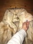 Елек от естествен косъм лисица, снимка 4