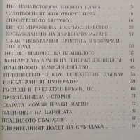 Страната на Оз. Новите приключения на Плашилото и Тенекиения дървар, 1992г., снимка 2 - Детски книжки - 30821168