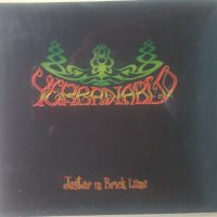 Yerbadiablo – Jester In Brick Lane (2012, CD) , снимка 1 - CD дискове - 39308397