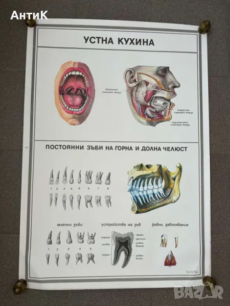 Комплект Соц Учебни Медицински Плакати, снимка 1