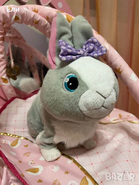 Заек, снимка 1