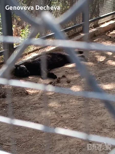 Самоходно шаси, снимка 1