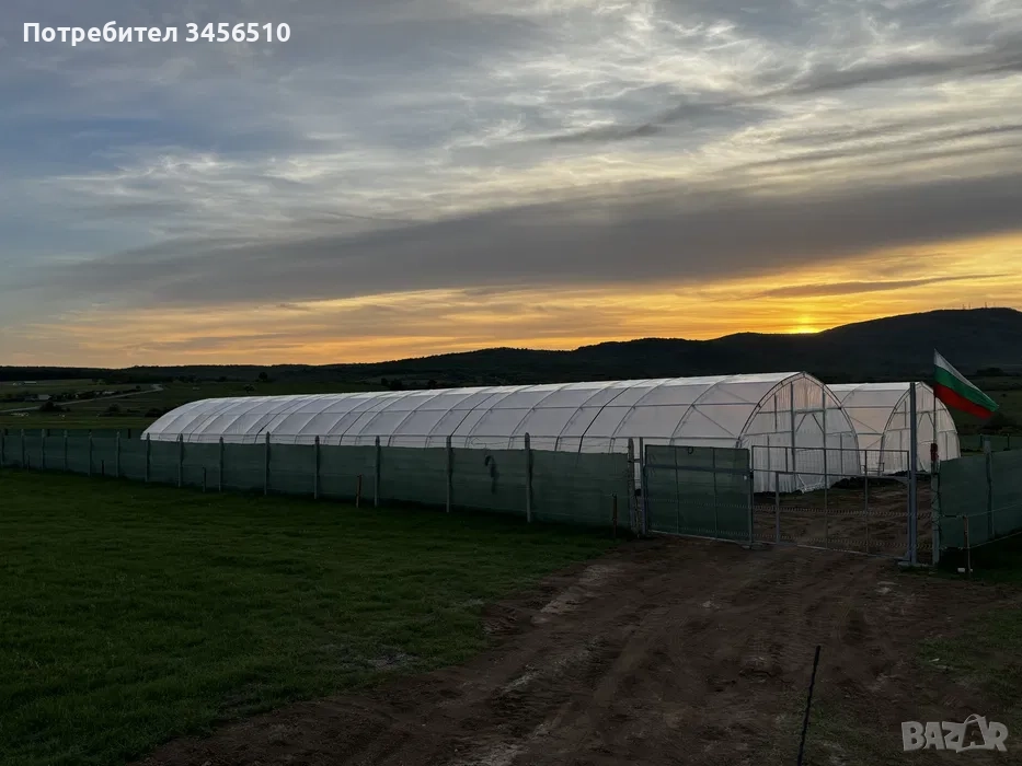 Стопанство за производство на зеленчуци, снимка 1