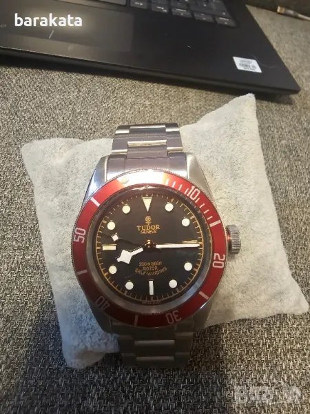 Tudor , снимка 1