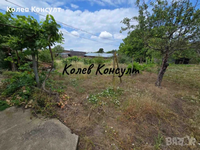 Продавам едноетажна къща в село Александрово , снимка 11 - Къщи - 50887672